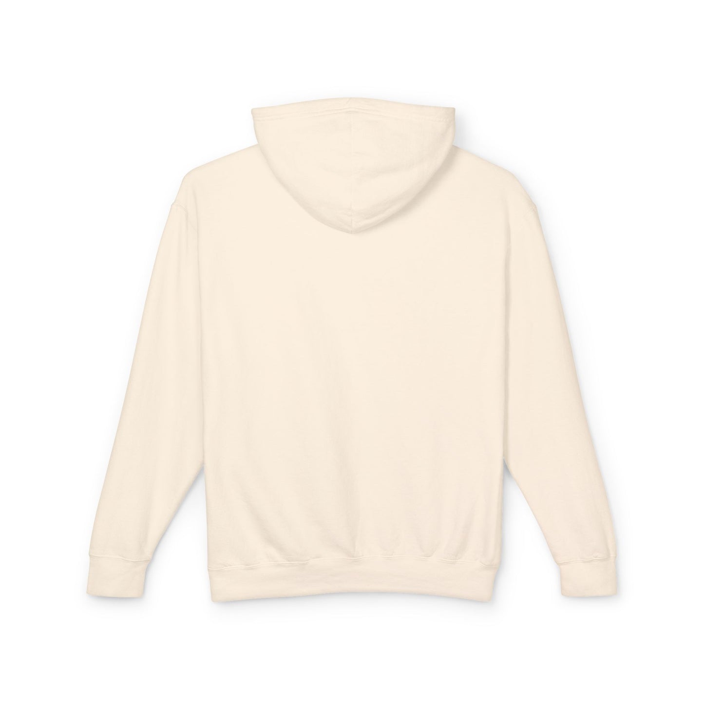 GRAND LEDGE BASEBALL ASTRO LIGHTWEIGHT HOODIE