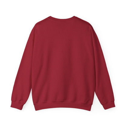 DAVISON FOOTBALL CREWNECK SWEATSHIRT